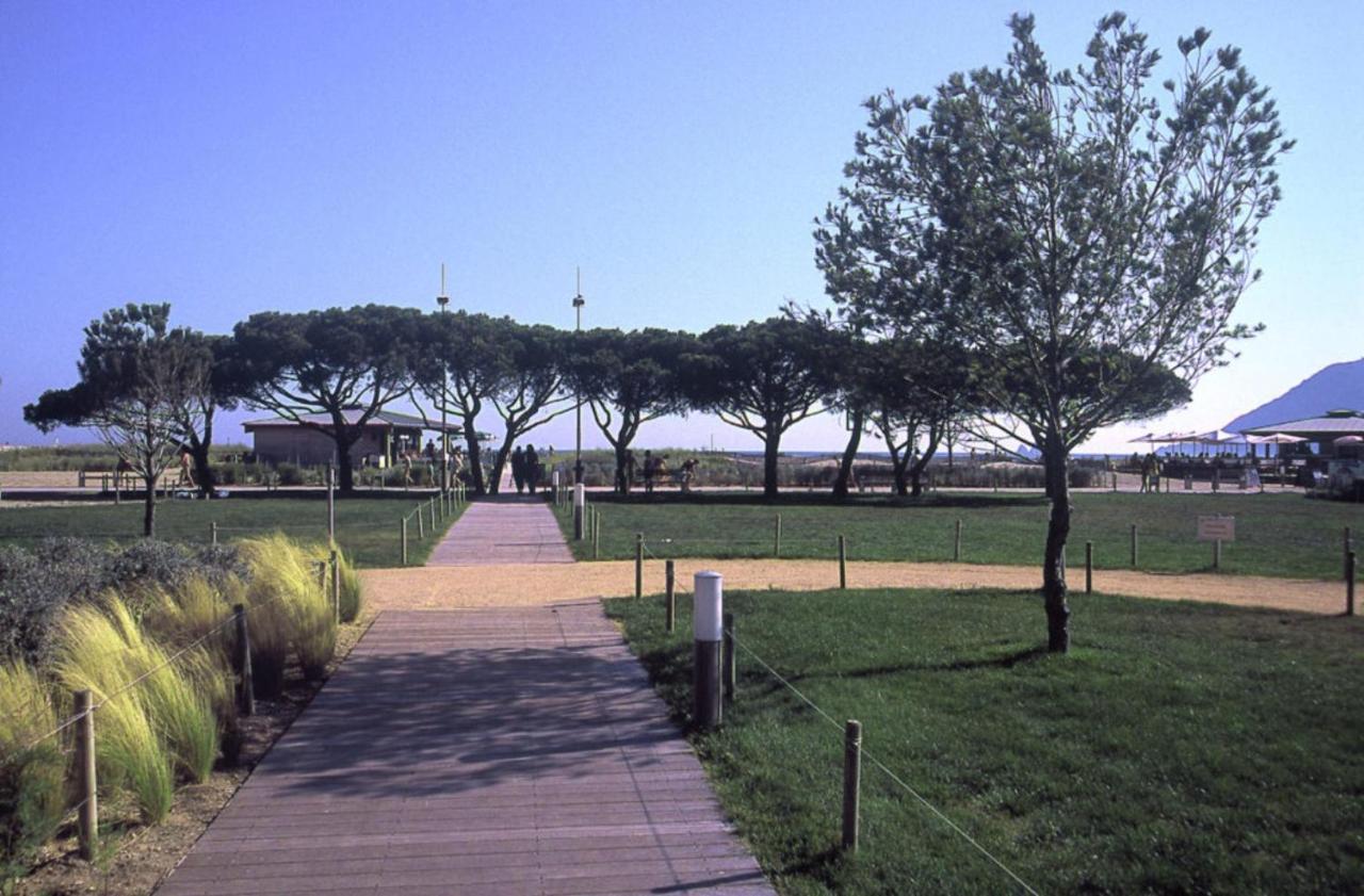 Charmant Appart. 500M Plages Des Sablettes La Seyne-sur-Mer Exterior foto